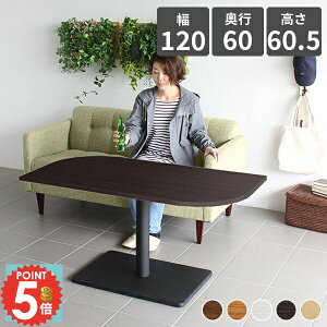 JtFe[u 60cm {r _CjOe[u ؐ \t@[e[u rOe[u s60 2lp JtF 1{r p\RfXN H IV 120cm zCg  \t@