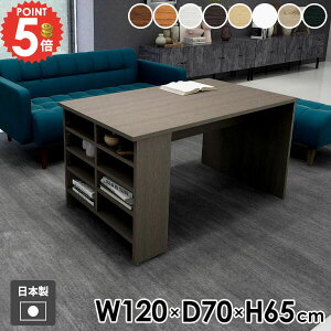 _CjOe[u  JtFe[u \t@[e[u He[u  2l| rOe[u p\RfXN k lp [t Ⴂ Ƒ It H 65cm PCfX