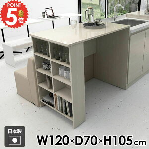 カウンターテーブル ハイテーブル 食卓 机 収納付き 収納 2人掛け バーテーブル オープンラック 勉強机 キッチンカウンター キッチン ディスプレイラック 玄関 棚付き 両面 デスク 収納棚 カ