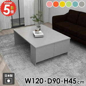 Z^[e[u \t@e[u [e[u 傫  rOe[u 킢 120cm  It JtFe[u {I  l炵 t \t@[e[u R[q[e[