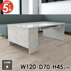 Z^[e[u \t@e[u [e[u 嗝Ε 傫 rOe[u  120cm  It JtFe[u l炵  {I B[ t \t@[e[u R[