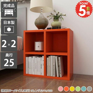 本棚 低い 完成品 カラーボックス おしゃれ 組み立て不要 コミック 小さい 薄型 2段 コンパクト 絵本ラック ロータイプ オープンラック 大容量 奥行25cm 2列 省スペース A4 漫画 スリム 組立不