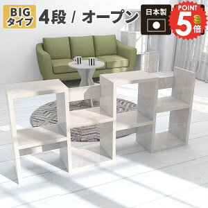 I[vbN I[vVFt i 4i  {I  zCg e WOUO u 嗝Β fBXvCbN [ A4 k SbN }KWbN 񉜍s30cm I ItB