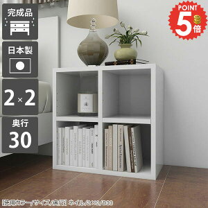 {I  i Ⴂ J[{bNX s30cm ȃXy[X gsv X {I  A4 [^Cv R~bNbN e ubNVFt 50cm G{[ 2i s30 k 