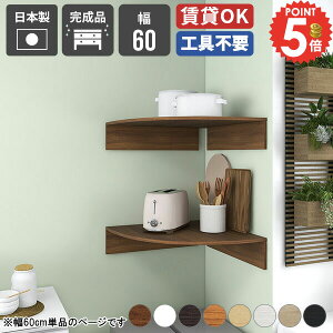 壁掛け棚 ウォールシェルフ コーナー 吊り戸棚 石膏ボード 角 賃貸 三角 浮かせる収納 小さい棚 本棚 トイレ おしゃれ 目立たない スリム ピン 洗面所 トイレ収納棚 ディスプレイラック アク