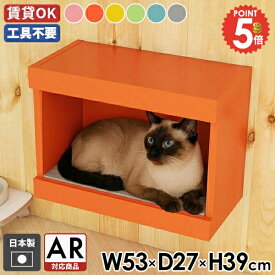 ペットハウス 猫ハウス 壁掛け 猫 おしゃれ キャットステップ 爪とぎ 壁付け ネコハウス 段ボール 石膏ボード 木製 キャットハウス 壁を傷つけない 賃貸 取り付け簡単 キャットウォーク 足場 北欧 かわいい 日本製 ダンボール キャットタワー ウォールシェルフ 【AR対応】 ★