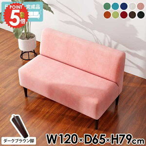 A[X\t@ l| l  x` 2l RpNg\t@ wꂠ A[X ӂ肪 2lp ڃ\t@[ _CjOx` H֎q 2l ʍ45cm k _