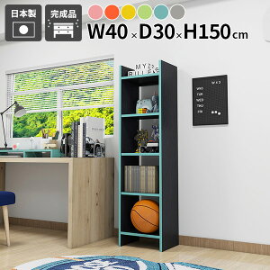 {I X I[vbN i 40cm fBXvCbN k ؐ [ ^  q ǖʃbN s30cm Lb`bN fXN [I [Ƌ I A h