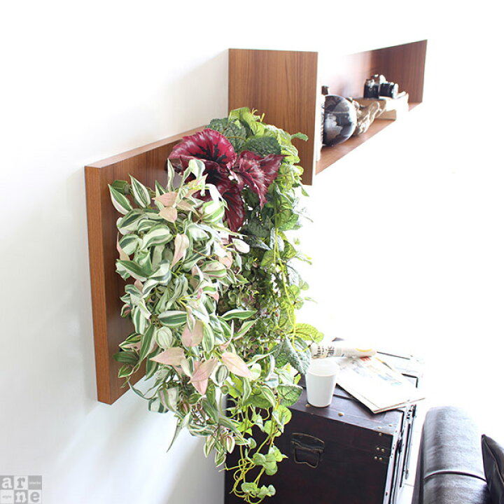 楽天市場】光触媒 観葉植物 造花 フェイク グリーン フェイクグリーン  