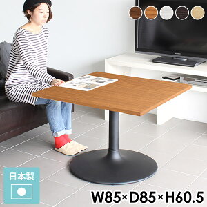JtFe[u `  fXN 60cm 1l  85cm rOe[u \t@e[u k zCg 1lp 1l| _CjOe[u Z^[e[u p\RfXN \t@[