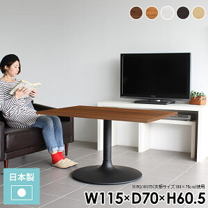 _CjOe[u JtFe[u lp 60cm 2l|  zCg \t@[e[u rOe[u 2lp s70 k l炵 H s70cm Z^[e[u 115cm \t
