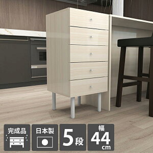 `FXg 5i rt X  s40 RpNg ʏ i ؐ Lrlbg Ԏ[  h[`FXg ~j`FXg ~j ^X  [`FXg 45 s40c