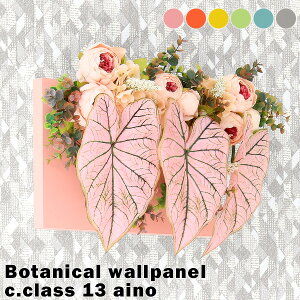  CeA O[pl G} CeApl t[AWg Ǌ|  AWgt[ EH[O[ tFCNO[ A[gpl j tF