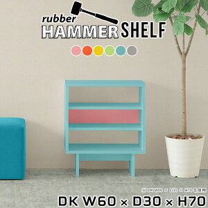 VFt bN X ؐ {I  I[vVFt G{I }KWbN A4 [ I J[{bNX 60cm fBXvCbN s30cm I ^ 3i I k r