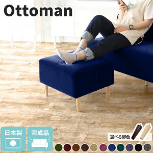 Ibg} Xc[ lp `FA u  ֎q |  [`FA   40cm [^Cv rO \t@ RpNg 1lp Ђ Vv \t@p x`