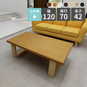 Z^[e[u [e[u k rOe[u  JtFe[u \t@[e[u lp fXN 120cm 2l| s70cm lp Ƒ \t@e[u [fXN ؐ [N