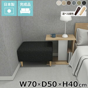 kbN x`\t@[  wȂ \t@x` lp Ǐ͂ǂ\t@ ʍ40cm 1lp kbNx` ЂƂ肪 \t@[ 1l| A[X x` `FA Xc[ ~