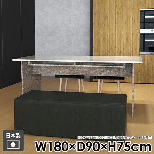 _CjOe[u He[u  gݗĊȒP JtFe[u 傫 Ζڒ e[uPi a k  [ [t H  `  { 4lp 嗝Ε Pi H