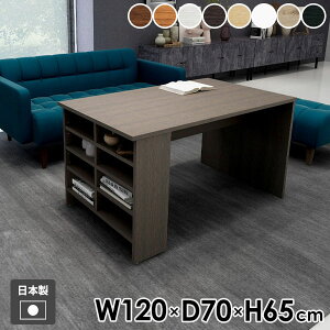 _CjOe[u  JtFe[u \t@[e[u He[u  2l| rOe[u p\RfXN k lp [t Ⴂ Ƒ It H 65cm PCfX