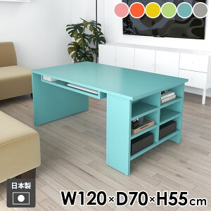 Z^[e[u \t@e[u [e[u It  [t rOe[u 120cm  킢 JtFe[u l炵  {I I[vbN \t@[e[u R