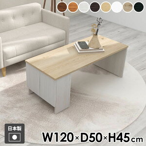 [e[u  rOe[u 傫 It Z^[e[u { {I  120cm JtFe[u zCg Vv lp ؐ _ fXN k Ƒ \t@e[u