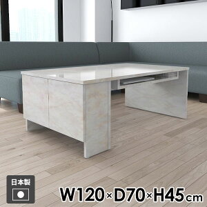Z^[e[u \t@e[u [e[u 嗝Ε 傫 rOe[u  120cm  It JtFe[u l炵  {I B[ t \t@[e[u R[