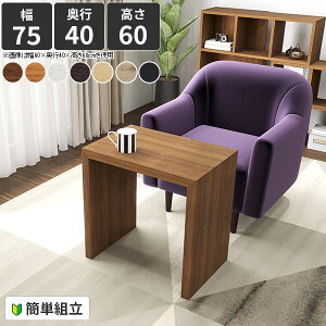 _CjOe[u 60cm k Z^[e[u  He[u R̎ JtFe[u  k ere[u 1lp s40 \t@[ɍ  PCfXN Lb` R