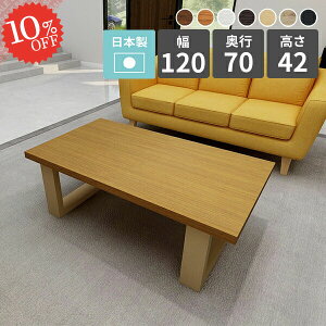 Z^[e[u [e[u k rOe[u  JtFe[u \t@[e[u lp fXN 120cm 2l| s70cm lp Ƒ \t@e[u [fXN ؐ [N