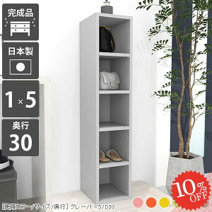 {I s30 e gݗĕsv 5i R~bN ^ k X RpNg i  I[vbN J[{bNX G{I A4 ȃXy[X ܎[ 1 ubNVFt rO