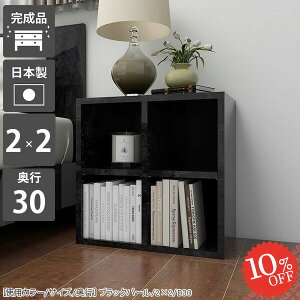 {I gsv  s30cm J[{bNX ` i ȃXy[X Ⴂ e I G{[ [^Cv  s30 X ubNVFt 2i A4t@C q ܂  