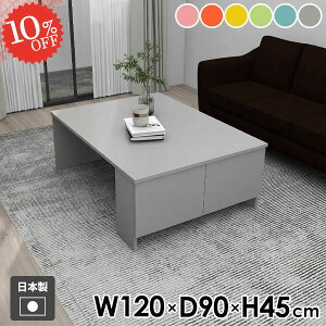 Z^[e[u \t@e[u [e[u 傫  rOe[u 킢 120cm  It JtFe[u {I  l炵 t \t@[e[u R[q[e[