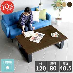 [e[u Z^[e[u 40cm JtFe[u  rOe[u k \t@[e[u PCfXN 2lp rOwK  ڃe[u fXN [fXN 傫 ؐ 