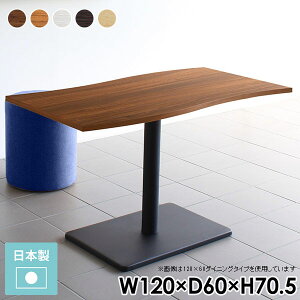 _CjOe[u {r 120cm JtFe[u 2l| l R[q[e[u zCg k 70cm  s60 s60cm ؖ r fUCe[u ؐ nCe[u He[