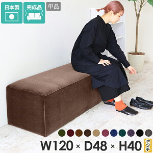 ベンチ ソファー ベンチソファー 2人掛け ソファ 背もたれなし おしゃれ スツール 幅120cm シンプル ベンチスツール 高さ40cm スツールベンチ 待合室 座面高40cm 3人掛け 椅子 二人がけ アームレ