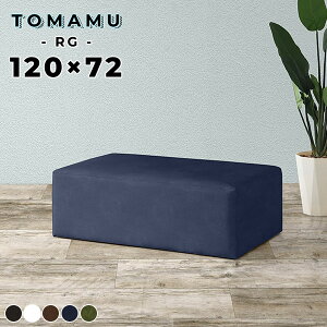 \t@[ Xc[ 120cm x` ŵȂ  40cm \t@ x``FA  ʍL x`Xc[ CX 2l| s[ kbN ֎q k A[X wȂ 