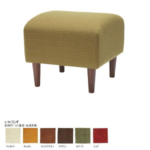 Ibg} `FA ֎q u { u \t@[  40cm \t@ | ֗p | Xc[ CX ֎q  CeA JtF fUCi[Y g ~bhZ`