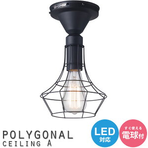 V[OCg Ɩ ubNt[ 1 A[g CeA VƖ ݉ I[ig fUCi[Y yA[g[NX^WIz