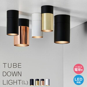 _ECg LED t rO  Ɩ V _ Vv ubN zCg S[h LEDΉ dt ꓔ Q  L yA[g[NX^WIz