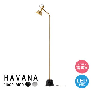 tACg ԐڏƖ X^hCg  LED Q Vv _ LED LEDΉ tA[Cg tAX^h Ɩ X^h ubN zCg yA[g[NX^WIz