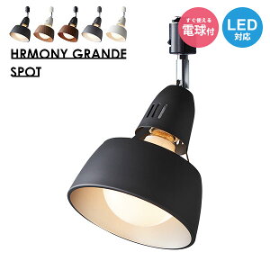 X|bgCg CeBO[ Ɩ X T JtF ⏕Ɩ i` ꓔ Vv LED uE ubN x[W zCg ^ rO yA[g[NX^WIz