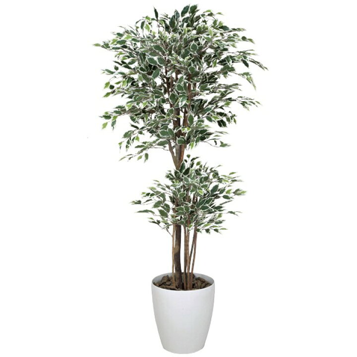 楽天市場 光触媒 インテリア 観葉植物 植物 大型 高さ180cm 人工観葉植物 造花 ベンジャミン フェイクグリーン 消臭 トロピカル 造花 ベンジャミン 防汚 光触媒観葉植物 グリーン 斑入り 抗菌 ホルムアルデヒド 分解 アートグリーン 人工植物 鑑賞 フェイク 新築祝い