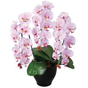 G}t[ G} Ӓ t[ I tFCNt[  ̓ L G}H CeA  ϗtA A[eBtBVt[  A[gt[ R`E v