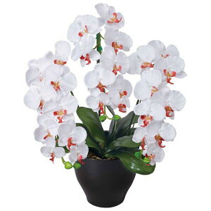 G}t[ G} Ӓ t[ I tFCNt[  L A[eBtBVt[ ϗtA  v[g CeA  A[gt[ R`E G}H 