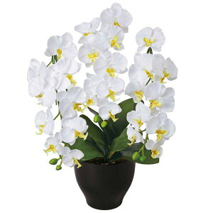 G}t[ G} Ӓ  t[ I tFCNt[ lHA L R G}H A[eBtBVt[  A[gt[ R`E ϗtA ̓ LO 