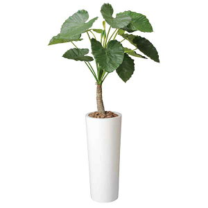 L tFCN tFCNO[ 180cm NYC ^ G}O[ A ϗtA lHA lHϗtA ϗtA CeA C~e[VO[ R CeAO[ 