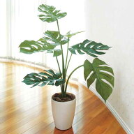 光触媒 観葉植物 モンステラ グリーン 植物 消臭 高さ75cm フェイクグリーン フェイク 光触媒 人工 人工…