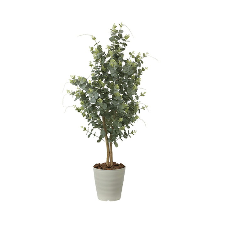 楽天市場】観葉植物 光触媒 植物 イミテーショングリーン グリーン 