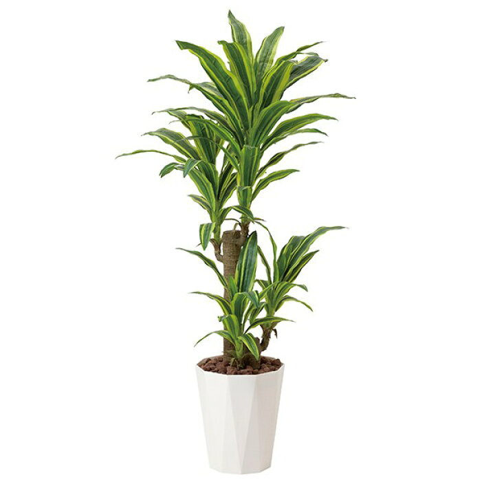 楽天市場】観葉植物 光触媒 植物 人工観葉植物 グリーン 消臭大型 造花 