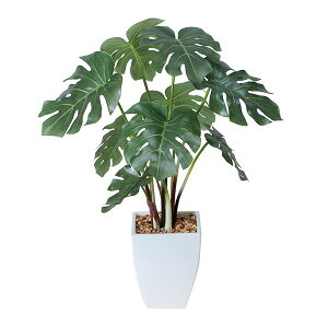 ϗtA G} A Xe lHϗtA e[u O[ t v[g tFCN   |bg G}H 40cm Mtg tFCNO[ L R h zAfqh 