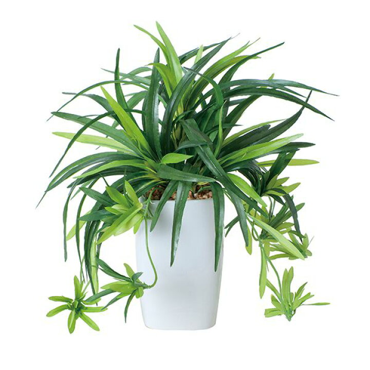 楽天市場 観葉植物 光触媒 植物 ドラセナ 抗菌 消臭 グリーン 効果 フェイクグリーン 人工 卓上 テーブル インテリア 人工観葉植物 角ポット 光触媒加工 高さ30cm 木 葉 フェイク プレゼント ギフト ホルムアルデヒド 分解 水やり不要 アートグリーン 引っ越し祝い 新築